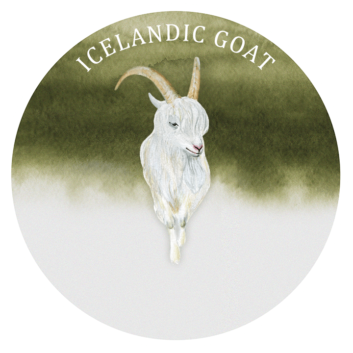 iceland goat