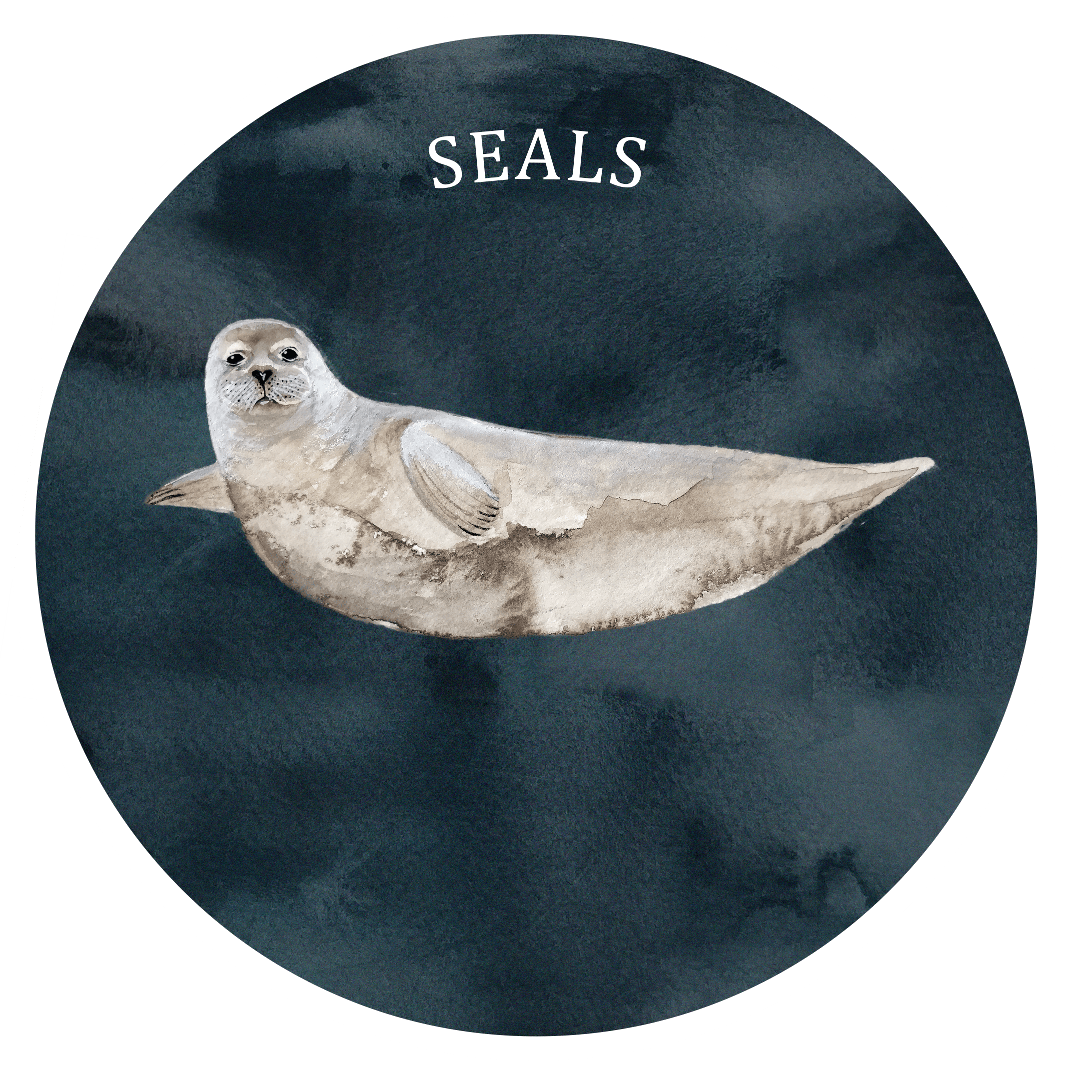 seal