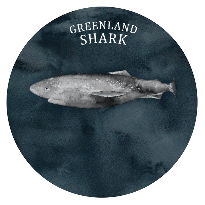 info-shark