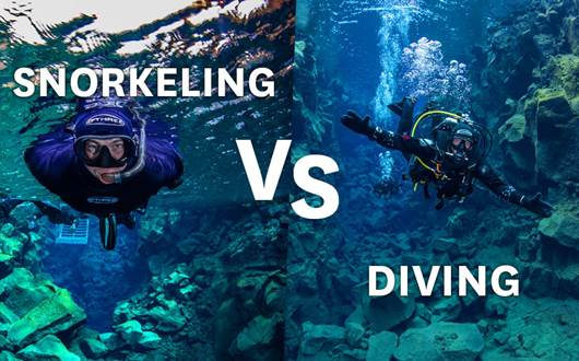 Snorkeling vs. Scuba Diving: What’s the Difference? Snorkeling vs. Scuba Diving: What’s the Difference?