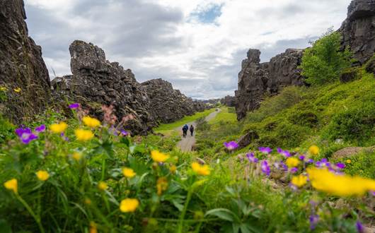 Iceland in July: Weather, Top Experiences, and Travel Tips Iceland in July: Weather, Top Experiences, and Travel Tips